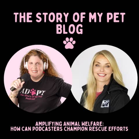 Amplifying Animal Welfare: How Can YOU Champion Rescue Efforts