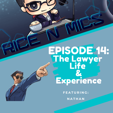 14 - The Lawyer Life and Experience
