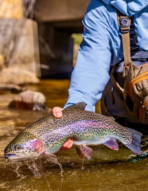 Hoppertunity Knocks on Colorado’s Abell Ranch with Clint Packo