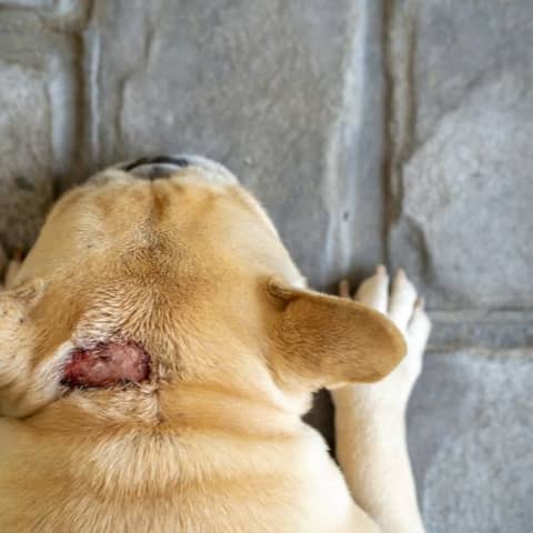 Hotspots: Yes for steroids, nope for AB's