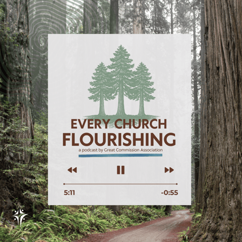 Episode 2: The Most Important Key to Church Health and Flourishing + Baptizing More People + The Most Disgusting Soda in History!