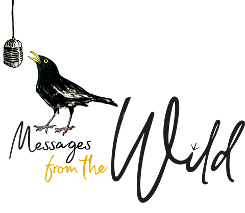 Messages from the Wild Logo