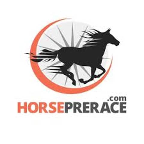 Horse PreRace