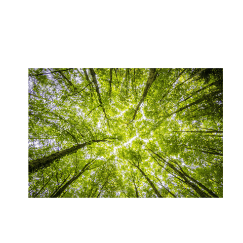 Clean Beauty: Part 2 - Breaking down the episode