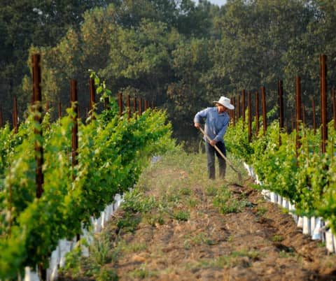 Liquor Industry News 10-12-25 Liquor Industry News 10-12-25