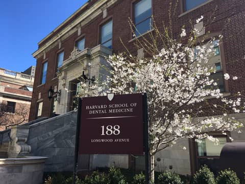 Geriatric Dentistry at Harvard School of Dental Medicine Geriatric Dentistry at Harvard School of Dental Medicine