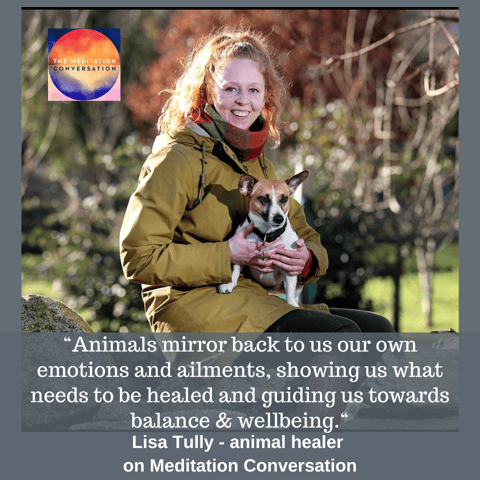 Animal Wisdom & Nature's Pharmacy - Lisa Tully