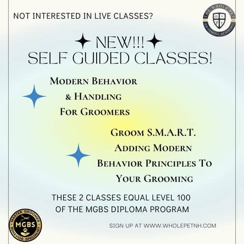 I just released 2 New Self-Guided classes!