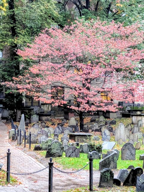 In the Shadow of Tombstones: Cemetery Superstitions In the Shadow of Tombstones: Cemetery Superstitions