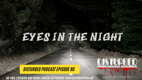 Eyes in the Night Eyes in the Night