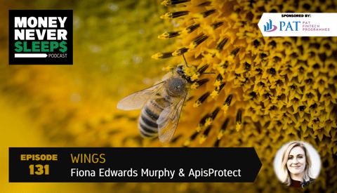 131: Wings | Fiona Edwards Murphy and ApisProtect
