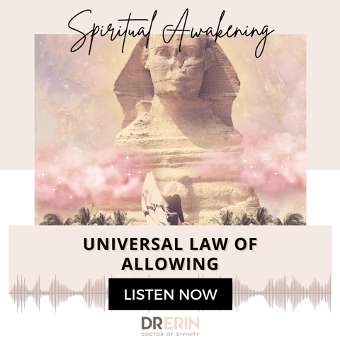 UNIVERSAL LAW OF ALLOWING {20 OF 52 SERIES}
