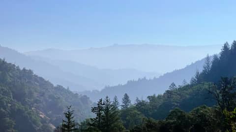 September Newsletter - Living with uncertainty & accepting what's present