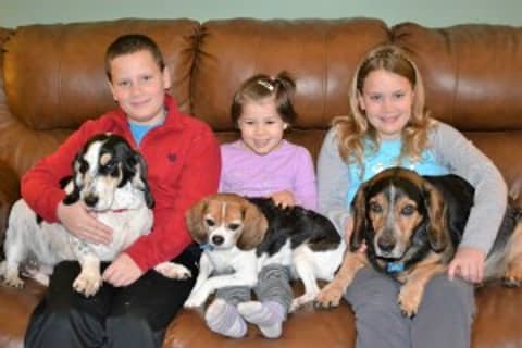 Being Thankful at Christmas!