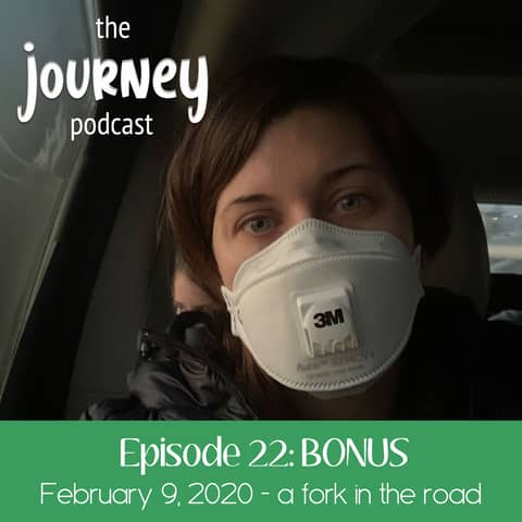 22: BONUS - Carey reflects on Feb 9, 2020 - a fork in the road