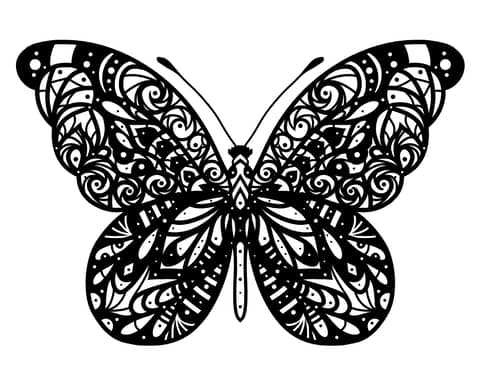 Avanti Wellness Podcast Logo