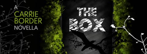 email capture banner email capture banner