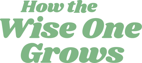 How the Wise One Grows Logo
