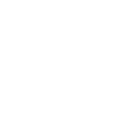 Cidiot Logo
