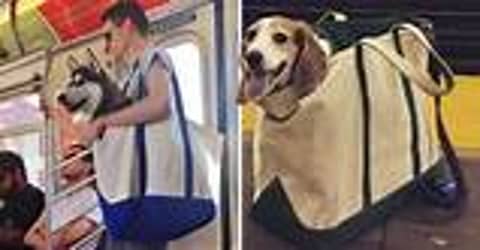 BONUS EPISODE-Can’t you leave your dog at home