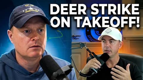 ExecJet 901: Citation Latitude vs. 4 Deer (ATC Breakdown)