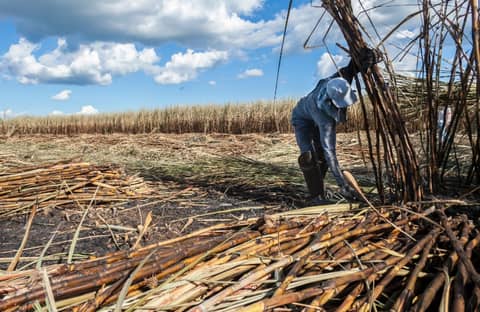 Grocery Prices, Tariffs, and the Stupidity of Repeating History