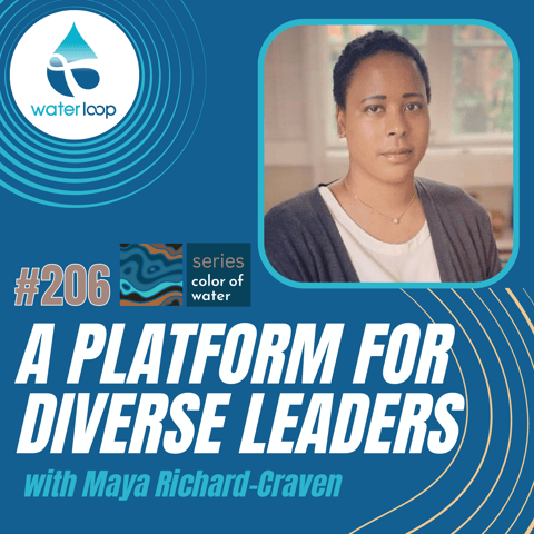 #206: A Platform For Diverse Experts