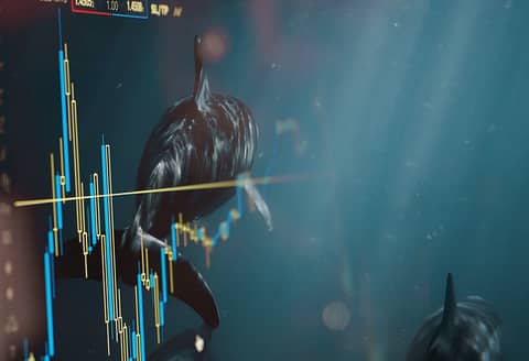 How Real Is Shark Tank?