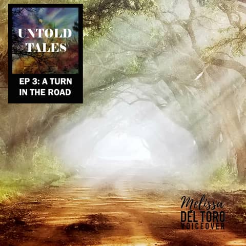 Episode 3: A Turn in the Road - Part 1 of 3