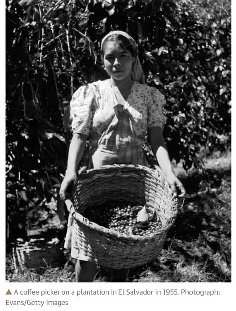 The History of Coffee in Guatemala and El Salvador