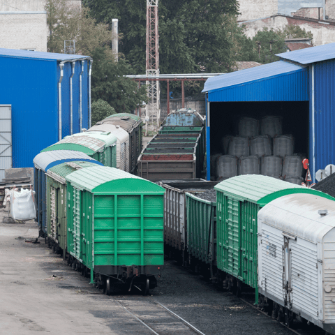 Essential Nutrients for Detoxification