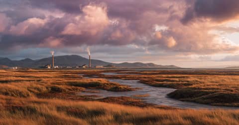 Islay's Peat: More Than Just Smoke