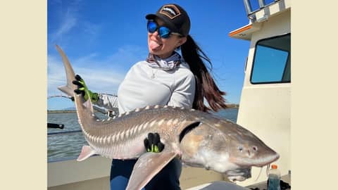 EP. 229 Fishing for Dinosaurs With Captain Virginia Salvador: San Francisco Sturgeon