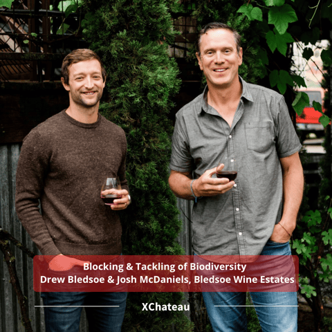 Blocking & Tackling of Biodiversity w/ Drew Bledsoe & Josh McDaniels, Bledsoe Wine Estates Blocking & Tackling of Biodiversity w/ Drew Bledsoe & Josh McDaniels, Bledsoe Wine Estates