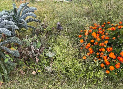 93. The Reluctant Gardener - Part 2