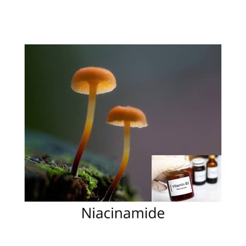 Niacinamide Explained: Skin Barrier Repair, Hydration and Hyperpigmentation