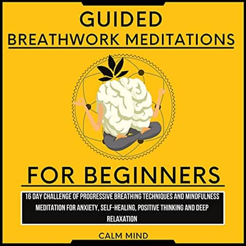 Guided Breathwork Meditations for Beginners: 16 Day Challenge of Progressive Breathing Techniques and Mindfulness Meditation for