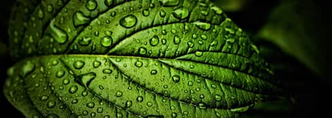 Listening Well Podcast Listening Well Podcast