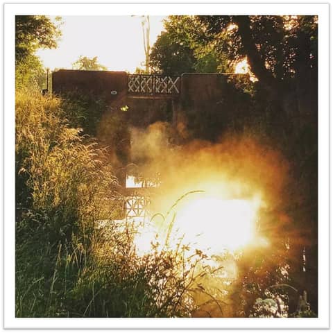 Love Letters (Written in Canal Water)