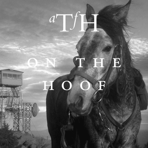 On the Hoof