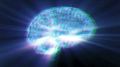 A common nutrient deficiency may be silently harming young brains