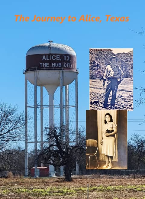 The Journey to Alice, Texas (hard cover)