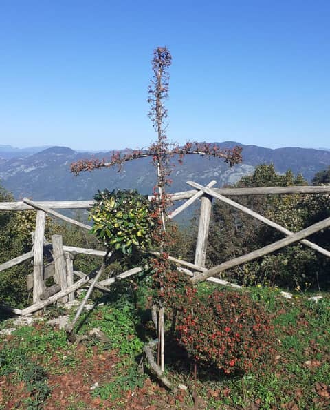 Predică la Duminica a 30-a dR: O rețetă reinterpretată