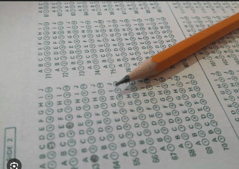 What Does State Testing Test Anyway? What Does State Testing Test Anyway?