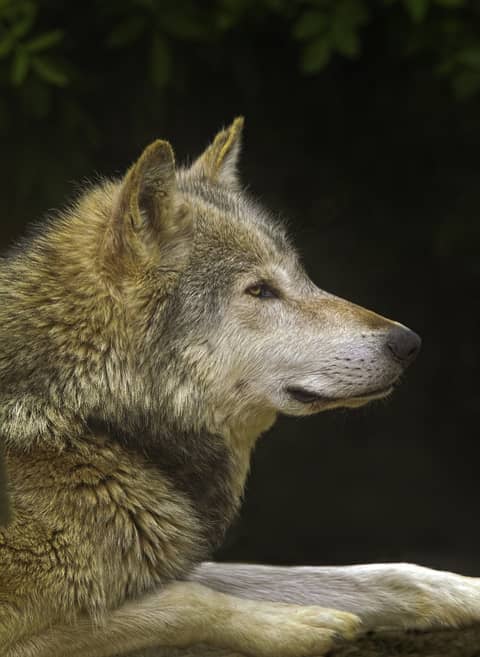 The Most Important Component of Parenting