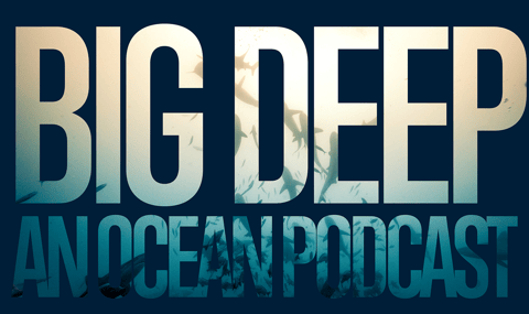 Season Two Is Coming! A Sneak Preview