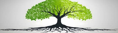 Roots of Resilience: Restoring Family, Facts, and Faith in Divided Times