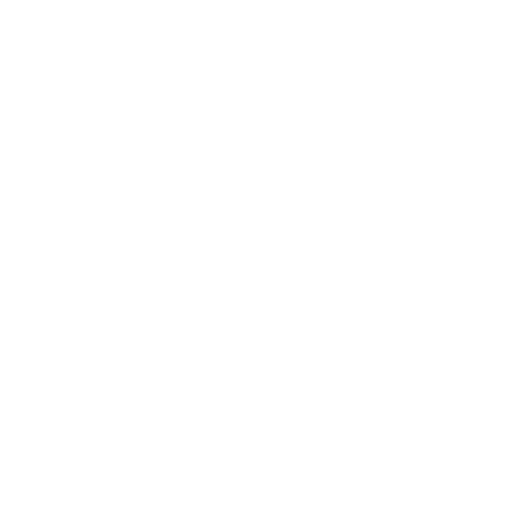 Speech Talk Logo