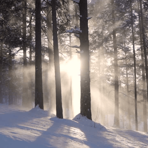 Embracing the Winter Solstice: Holistic Strategies for Wellness and Releasing The ADHD Label During Wintertime