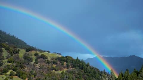 rainbows and unicorns